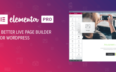 Elementor-Pro-2.9.1-Nulled-WordPress-Page-Builder-1